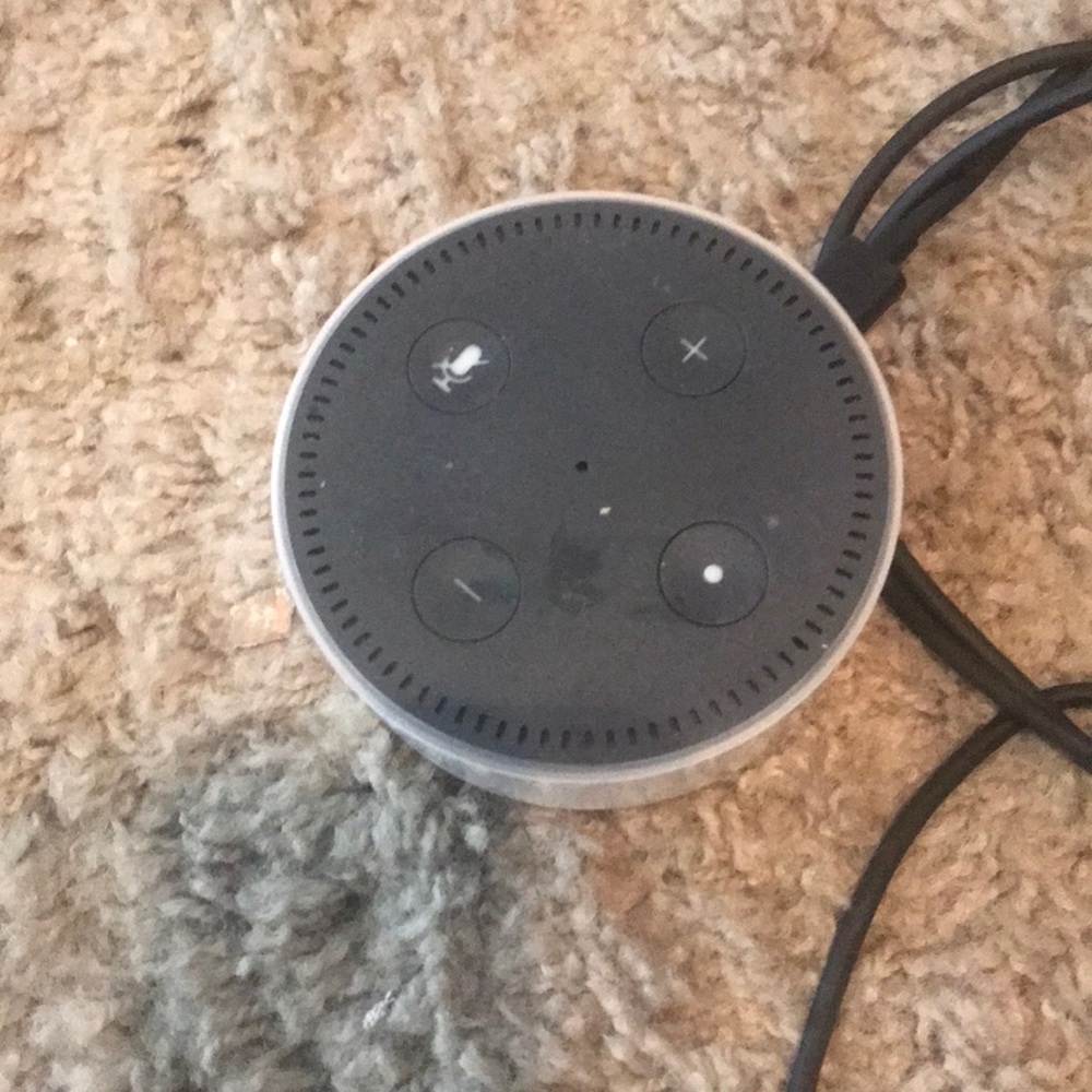 The Alexa Echo Dot